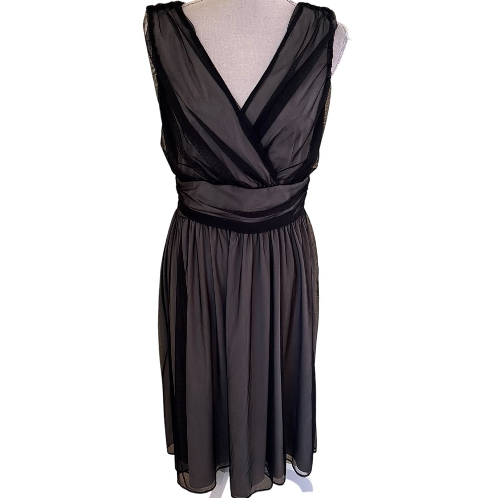 Cami Sheer Black Mesh Sleeveless Surplice Aline Dress 12